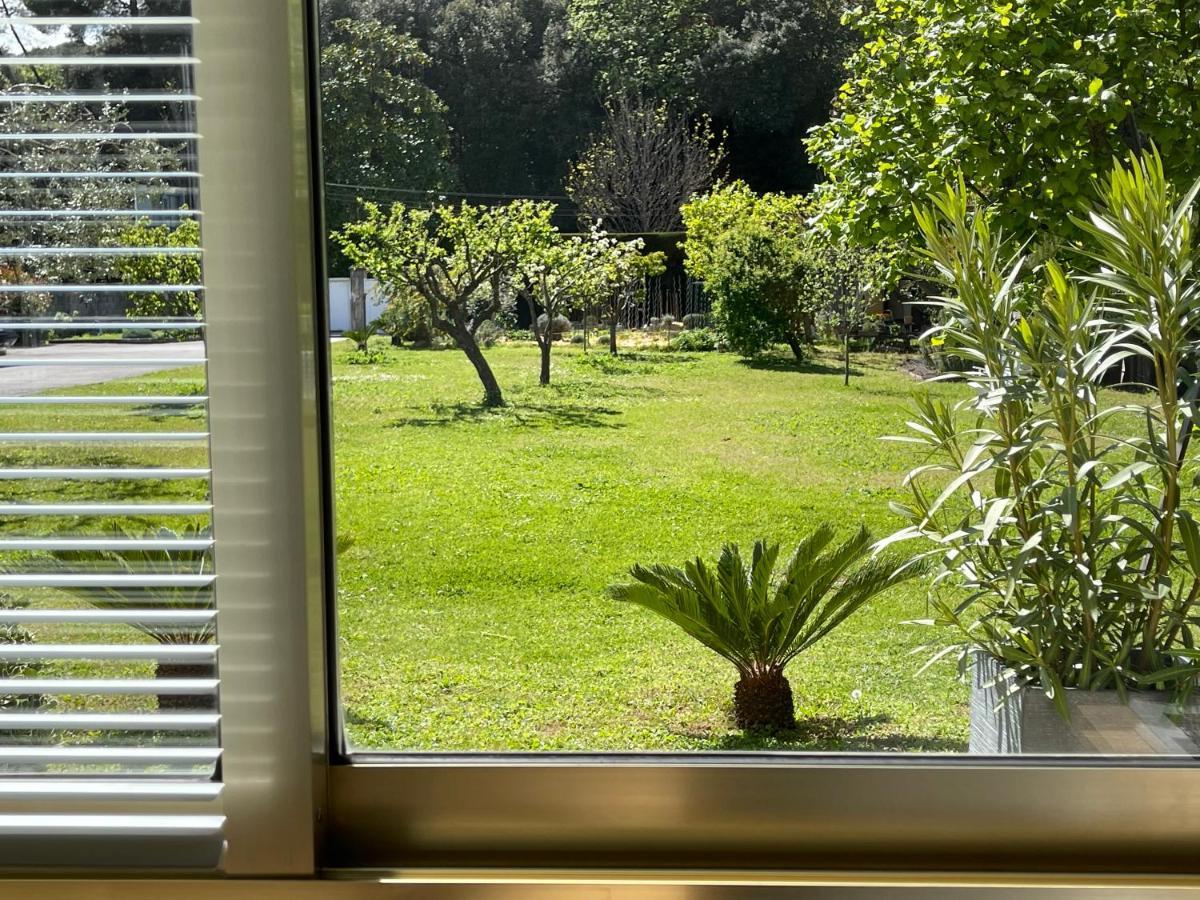 Studio Tout Confort Au Calme Avec Jardin Proche Cannes Le Cannet Zewnętrze zdjęcie