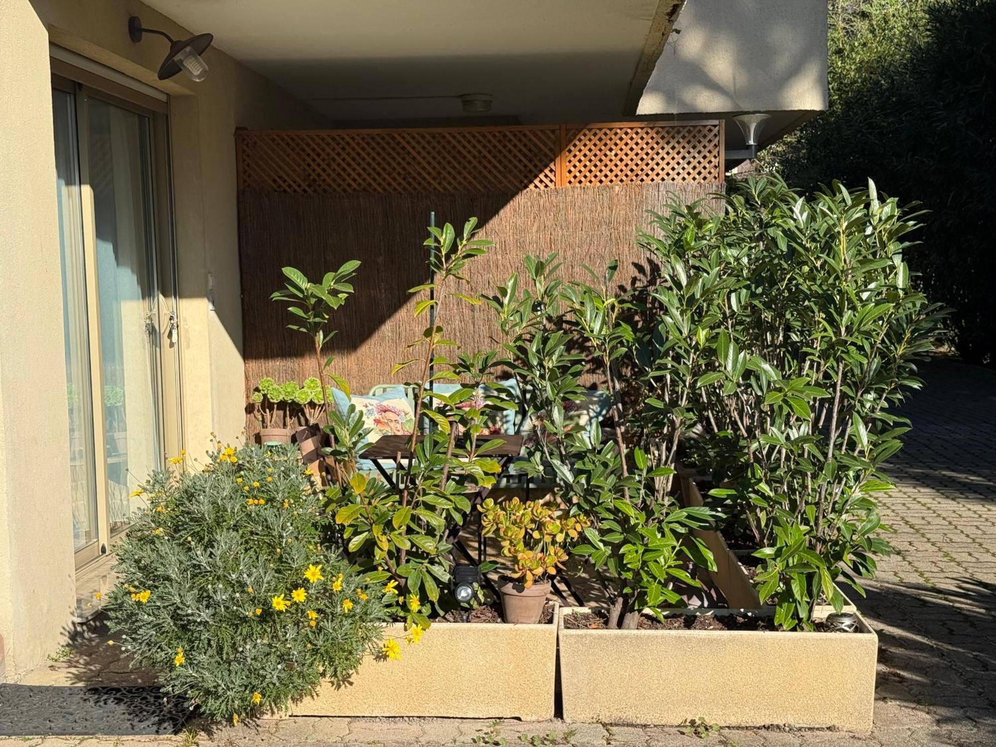 Studio Tout Confort Au Calme Avec Jardin Proche Cannes Le Cannet Zewnętrze zdjęcie